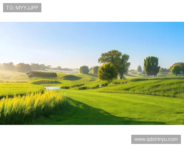 足球明星魅力四射壁纸精选集让你尽享视觉盛宴